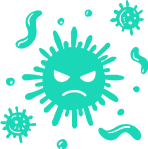 カビのイラスト